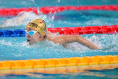 XXVIII Gran Premio Shark
20-21 Dicembre 2025
Piscina Scandone Napoli