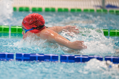 XXVIII Gran Premio Shark
20-21 Dicembre 2025
Piscina Scandone Napoli