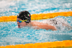 XXVIII Gran Premio Shark
20-21 Dicembre 2025
Piscina Scandone Napoli