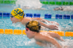 XXVIII Gran Premio Shark
20-21 Dicembre 2025
Piscina Scandone Napoli