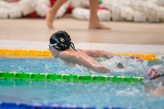 XXVIII Gran Premio Shark
20-21 Dicembre 2025
Piscina Scandone Napoli