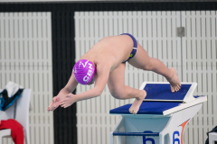 XXVIII Gran Premio Shark
20-21 Dicembre 2025
Piscina Scandone Napoli