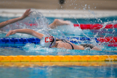 XXVIII Gran Premio Shark20-21 Dicembre 2025Piscina Scandone Napoli