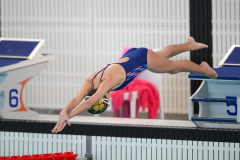 XXVIII Gran Premio Shark
20-21 Dicembre 2025
Piscina Scandone Napoli