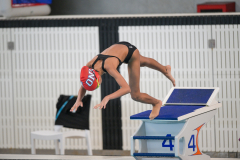 XXVIII Gran Premio Shark
20-21 Dicembre 2025
Piscina Scandone Napoli