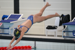 XXVIII Gran Premio Shark
20-21 Dicembre 2025
Piscina Scandone Napoli