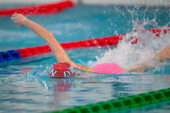 XXVIII Gran Premio Shark
20-21 Dicembre 2025
Piscina Scandone Napoli