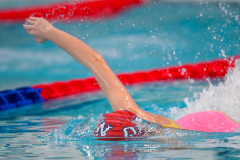 XXVIII Gran Premio Shark
20-21 Dicembre 2025
Piscina Scandone Napoli