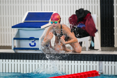 XXVIII Gran Premio Shark
20-21 Dicembre 2025
Piscina Scandone Napoli