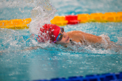 XXVIII Gran Premio Shark20-21 Dicembre 2025Piscina Scandone Napoli