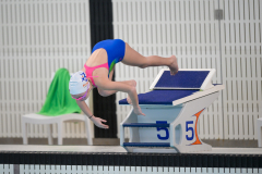 XXVIII Gran Premio Shark20-21 Dicembre 2025Piscina Scandone Napoli