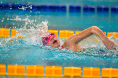 XXVIII Gran Premio Shark20-21 Dicembre 2025Piscina Scandone Napoli