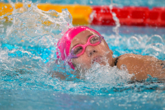 XXVIII Gran Premio Shark20-21 Dicembre 2025Piscina Scandone Napoli