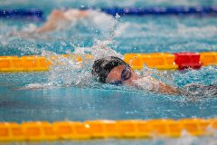 XXVIII Gran Premio Shark
20-21 Dicembre 2025
Piscina Scandone Napoli