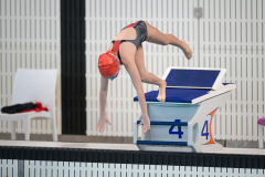 XXVIII Gran Premio Shark
20-21 Dicembre 2025
Piscina Scandone Napoli