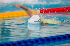 XXVIII Gran Premio Shark
20-21 Dicembre 2025
Piscina Scandone Napoli