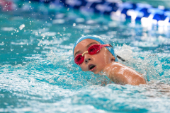 XXVIII Gran Premio Shark
20-21 Dicembre 2025
Piscina Scandone Napoli