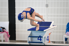 XXVIII Gran Premio Shark
20-21 Dicembre 2025
Piscina Scandone Napoli