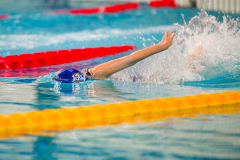 XXVIII Gran Premio Shark
20-21 Dicembre 2025
Piscina Scandone Napoli