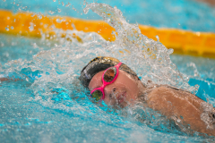 XXVIII Gran Premio Shark
20-21 Dicembre 2025
Piscina Scandone Napoli