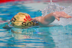 XXVIII Gran Premio Shark
20-21 Dicembre 2025
Piscina Scandone Napoli