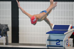 XXVIII Gran Premio Shark
20-21 Dicembre 2025
Piscina Scandone Napoli