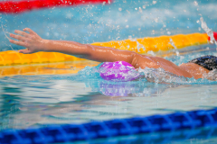 XXVIII Gran Premio Shark
20-21 Dicembre 2025
Piscina Scandone Napoli