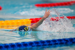 XXVIII Gran Premio Shark
20-21 Dicembre 2025
Piscina Scandone Napoli