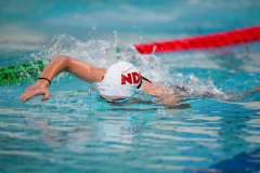 XXVIII Gran Premio Shark
20-21 Dicembre 2025
Piscina Scandone Napoli