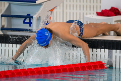 XXVIII Gran Premio Shark
20-21 Dicembre 2025
Piscina Scandone Napoli