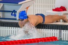 XXVIII Gran Premio Shark
20-21 Dicembre 2025
Piscina Scandone Napoli