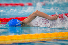 XXVIII Gran Premio Shark
20-21 Dicembre 2025
Piscina Scandone Napoli