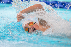 XXVIII Gran Premio Shark
20-21 Dicembre 2025
Piscina Scandone Napoli