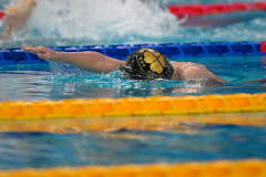 XXVIII Gran Premio Shark
20-21 Dicembre 2025
Piscina Scandone Napoli