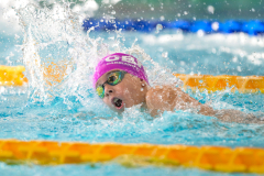 XXVIII Gran Premio Shark
20-21 Dicembre 2025
Piscina Scandone Napoli