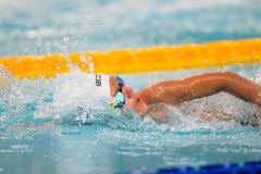 XXVIII Gran Premio Shark
20-21 Dicembre 2025
Piscina Scandone Napoli