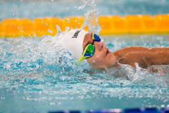 XXVIII Gran Premio Shark
20-21 Dicembre 2025
Piscina Scandone Napoli