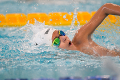 XXVIII Gran Premio Shark
20-21 Dicembre 2025
Piscina Scandone Napoli