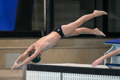 XXVIII Gran Premio Shark
20-21 Dicembre 2025
Piscina Scandone Napoli