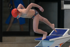 XXVIII Gran Premio Shark
20-21 Dicembre 2025
Piscina Scandone Napoli