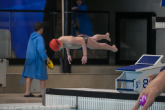 XXVIII Gran Premio Shark
20-21 Dicembre 2025
Piscina Scandone Napoli