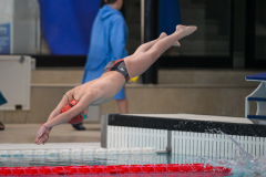 XXVIII Gran Premio Shark
20-21 Dicembre 2025
Piscina Scandone Napoli